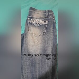 Paisley Sky Blue Boot Cut Jeans with Vintage Wash